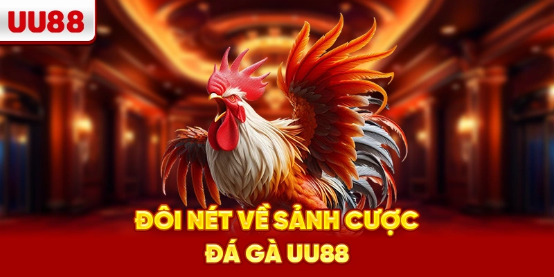 Đôi nét về sảnh cược đá gà UU88