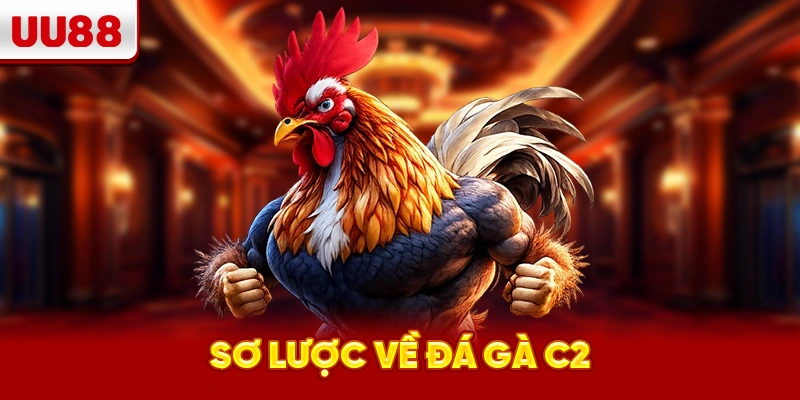 Sơ lược về đá gà C2